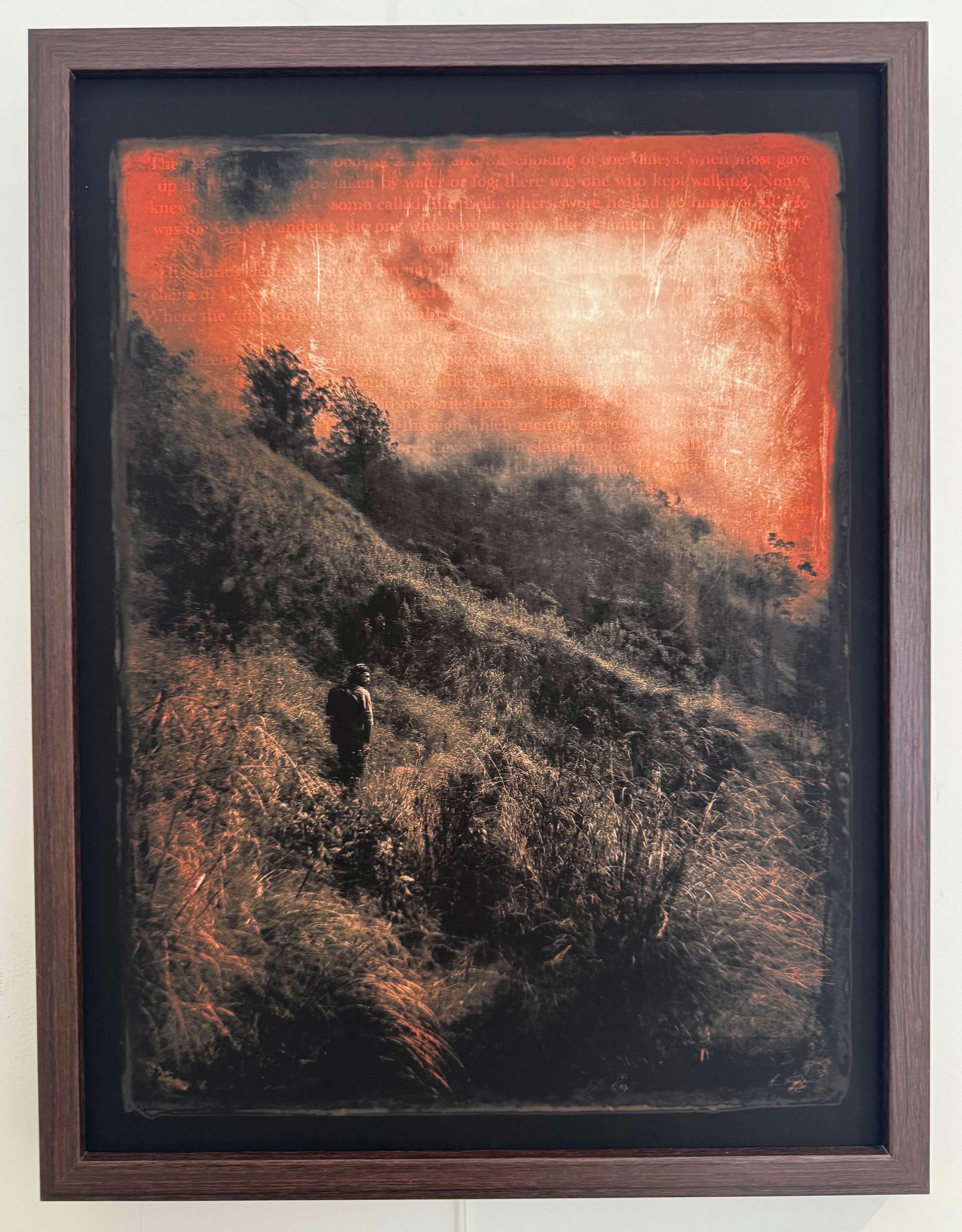 The Wanderer