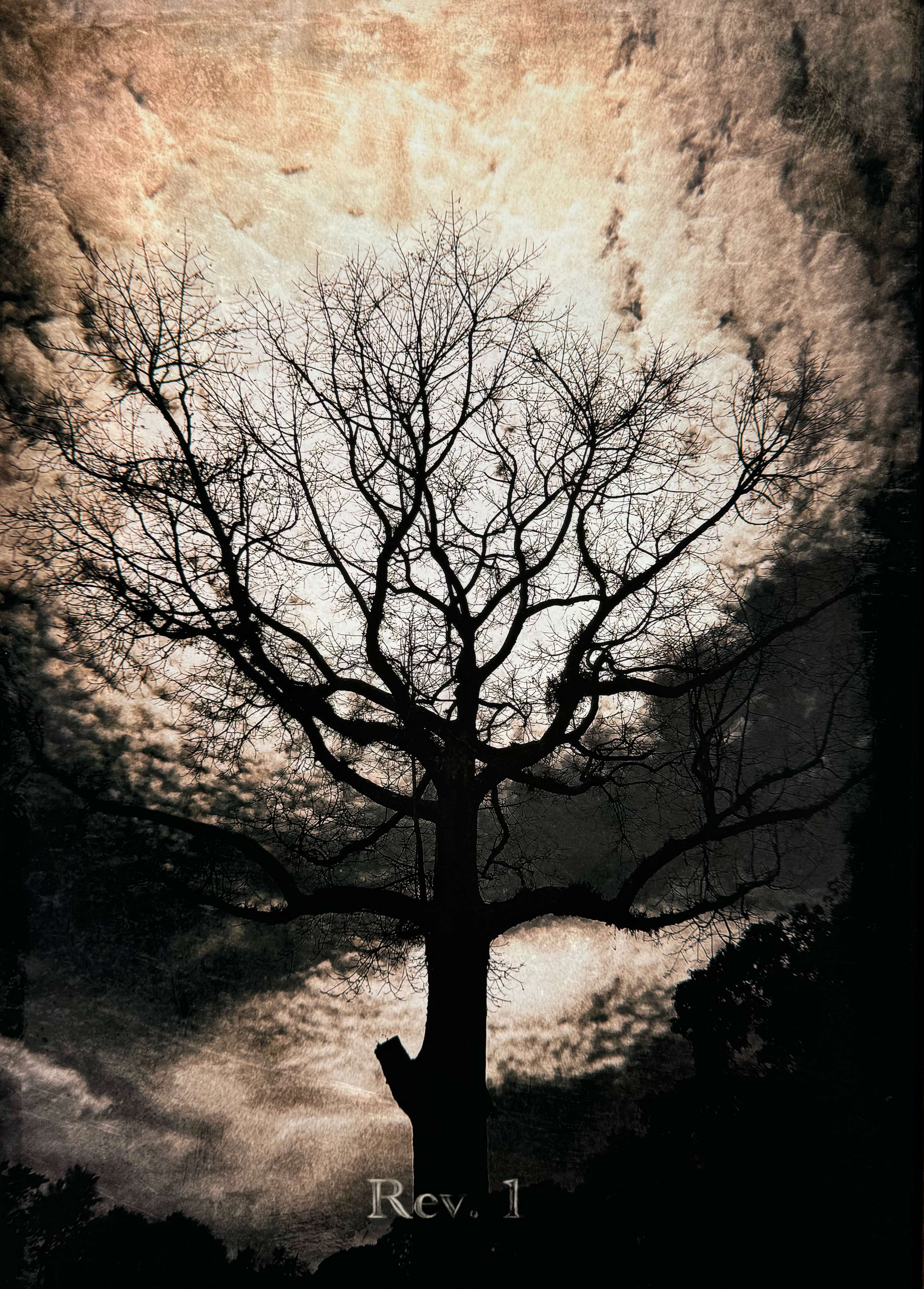 Rev. 1 - He’s coming with the clouds